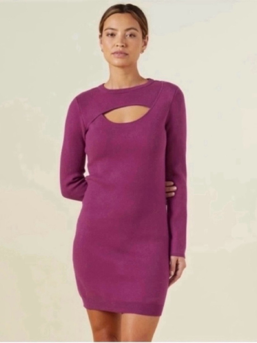 Nwt! Raspberry Rose Monrow Supersoft Knit Sweater Cut Out Dress - Size Medium
